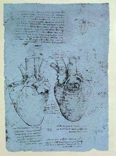 The Heart, faksimile av Windsor-boken (penn og blekk på papir) av Leonardo da Vinci