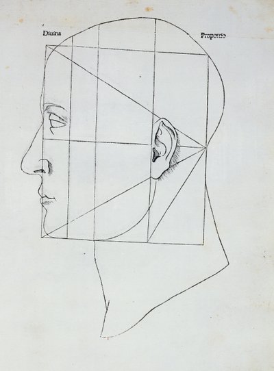 The Human Head, illustrasjon for 'Divina Proportione' av Luca Pacioli (1445-1517), 1509 av Leonardo da Vinci