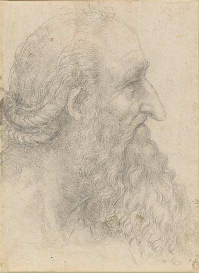 Hodet til en gammel skjeggete mann, ca 1517. av Leonardo da Vinci