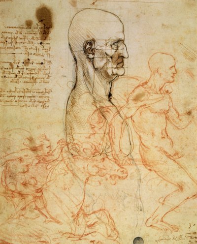 Torso of a Man in Profile, Head Squared for Proportion, and Sketches of Two Horsemen, ca. 1490 og ca. 1504 (penn og blekk og rødt kritt over metallspiss på papir av Leonardo da Vinci