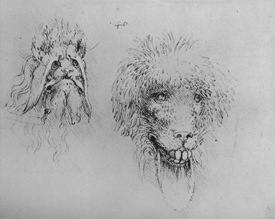 Two Heads of Monsters, c1480 1945 av Leonardo da Vinci