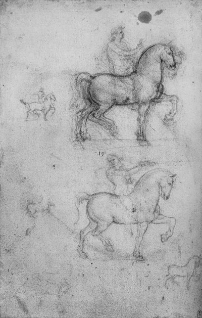 To studier av hester og ryttere og mindre studier av hester, c1480 1945 av Leonardo da Vinci