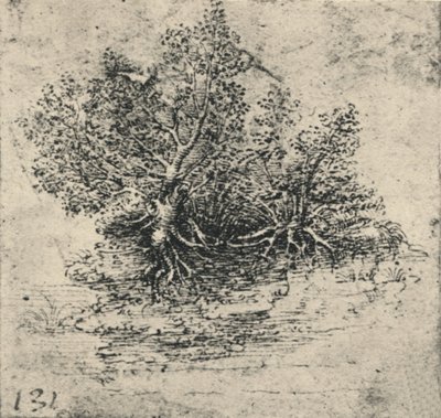 To trær på bredden av en bekk, c1480 1945 av Leonardo da Vinci