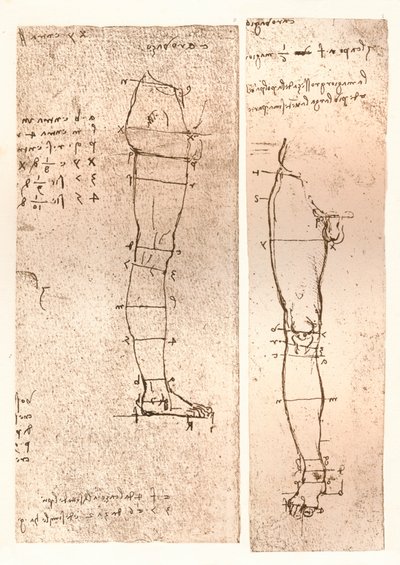 To tegninger som illustrerer teorien om proporsjonene til den menneskelige figuren, c1472-c1519 1883 av Leonardo da Vinci