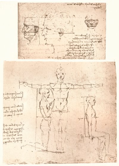 To tegninger som illustrerer teorien om proporsjonene til den menneskelige figuren, c1472-c1519 1883. av Leonardo da Vinci