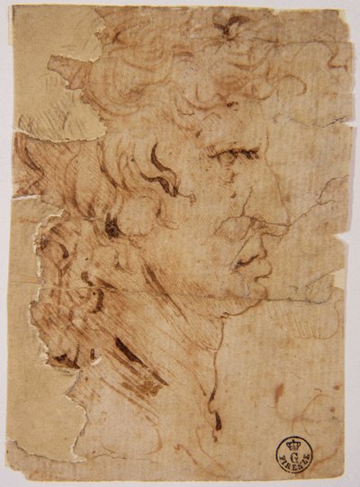 Ukjent bilde av Leonardo da Vinci