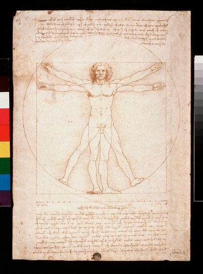  av Leonardo da Vinci