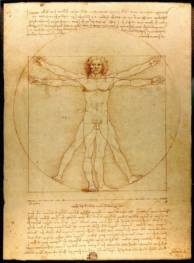  av Leonardo da Vinci