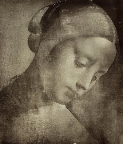 Kvinnelig hode. 1470-1519 av Leonardo da Vinci