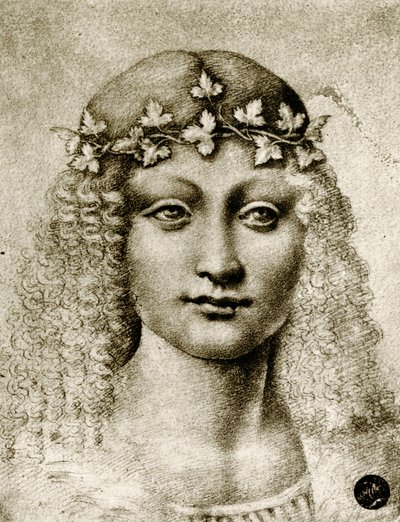 Hodet til en jente omkranset av vintreet av Leonardo da school of Vinci