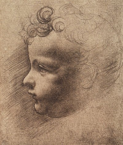 Hodet til en liten gutt; tegning av Leonardo da Vinci. Louvre, Paris av Leonardo da school of Vinci