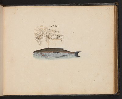 "En nøyaktig naturlig beskrivelse og avgrensning av vannfuglene, fiskene, firfotdyrene, insektene og ormene, som finnes i vannet ved Strassburg [Strasbourg], som jeg selv skjøt og håndterte. Leonard Baldner, Fisher and Citizen i Strassburg ", c av Leonhard Baldner