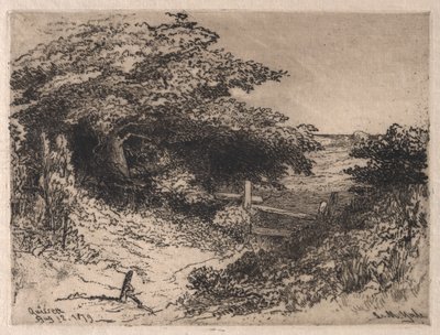 Quissett, Barnstable County, Massachusetts, 1879. av Leroy Milton Yale