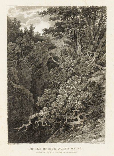  av Letitia Byrne