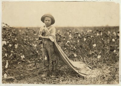 6 år gamle Warren Frakes med omtrent 20 pund bomull i vesken i Comanche County, Oklahoma, 1916 av Lewis Wickes Hine