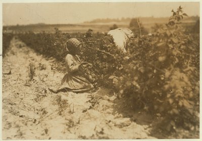 En seks år gammel polsk jente plukker bær hele dagen med familien (Scholtz) ved Rock Creek nær Baltimore, Maryland, 1909 av Lewis Wickes Hine