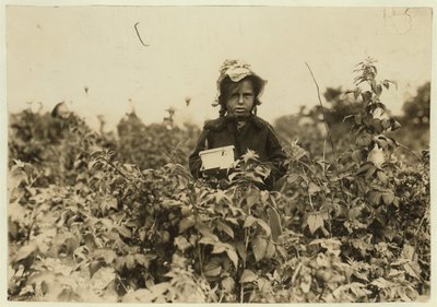 Annie Bissie plukket bær på jordene nær Baltimore, Maryland, 1909 av Lewis Wickes Hine