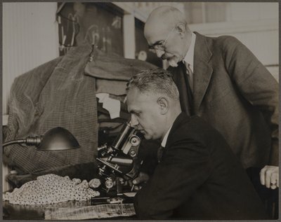 Forske av Lewis Wickes Hine