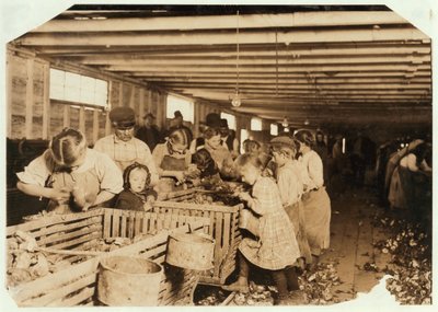 Rosy på 8 år jobber en 14-timers dag som østers-shucker på Dunbar Cannery, Louisiana, 1911 av Lewis Wickes Hine