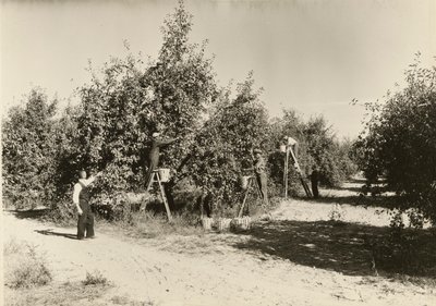 Uten tittel, ca. 1935. av Lewis Wickes Hine