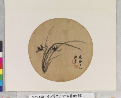Orkidé i blomst av Li Chen