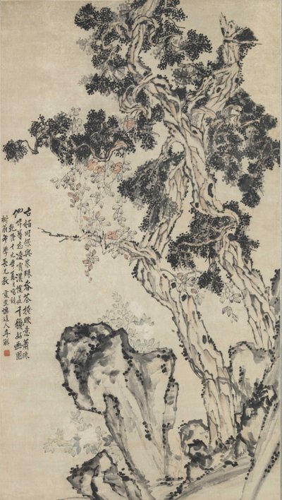 Cypress topp. av Li Shan