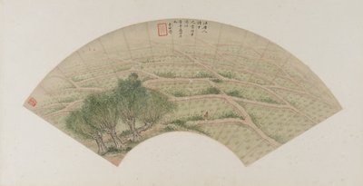 Rismarker med hegre, Qing-dynastiet, 1741 (blekk og farge på papir) av Li Shizuo