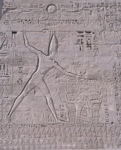 Utskjæringer på veggen til et tempel, Medinet Habu, Luxor, Egypt av Unbekannt Unbekannt