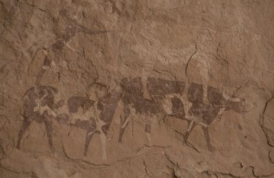Storfe og menneskefigurer, Hulemaleri, Oued i Djeran, Nær Djanet, Tassili n'Ajjer (Unescos verdensarvliste av Unbekannt Unbekannt
