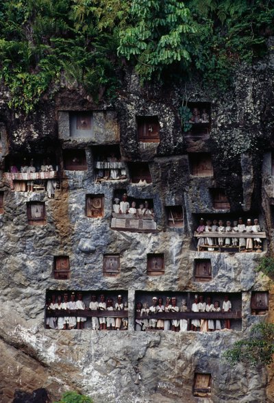 Begravelsesnisjer med Tau Tau likhusfigurer, landsbyen Lemo, Tana Toraja, øya Sulawesi, Indonesia. av Unbekannt Unbekannt