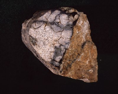 Meteoritt funnet i India i 1875 - Museum of Natural History, Paris av Unbekannt Unbekannt