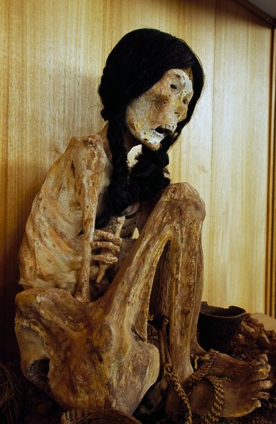Mamma kjent som Miss Chile, fra San Pedro de Atacama, Chile, 500 f.Kr av Unbekannt Unbekannt