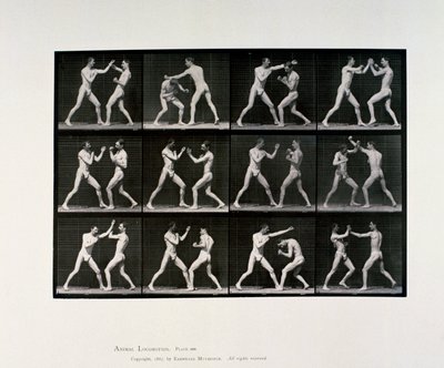 Nakne mannlige idrettsutøvere som bokser, ca 1872-1885 av Unbekannt Unbekannt