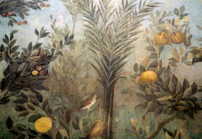 Granatepletre, detalj fra en freskomaleri som viser en hage med frukttrær og fugler, fra House of Livia på Palatine-høyden, Roma, Italia. romersk sivilisasjon av Unbekannt Unbekannt