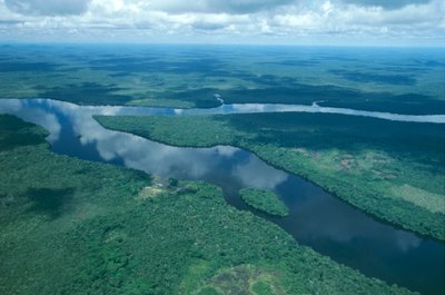 Venezuela, Guayana, Amazonas State, Orinoco River, luftfoto (bilde) av Unbekannt Unbekannt