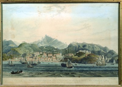 En utsikt over byen St. George og Richmond Heights på øya Grenada, gravert av William Daniell 1769-1837, gravering ca. 1810 av Lieutenant-Colonel J. Wilson