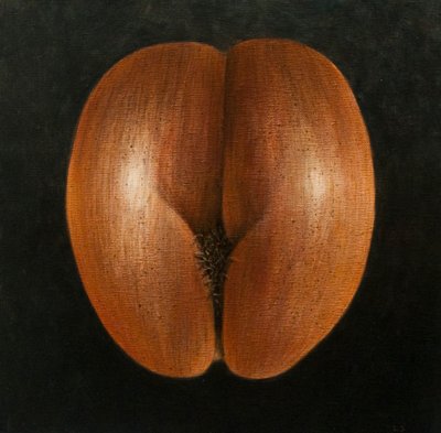 Coco de Mer, 2010 (akryl på lerret) av Lincoln Seligman