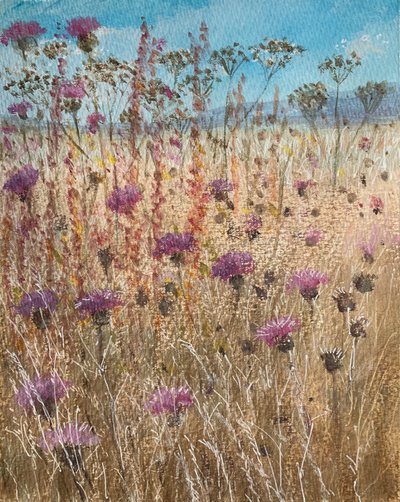 Dark Scabious av Lincoln Seligman