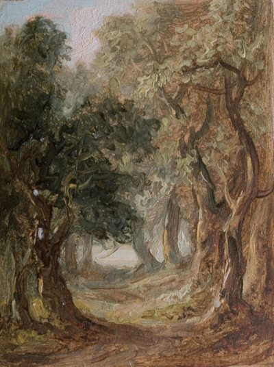 Grove [udatert]. av Lines Family