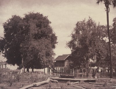 Tsagain Myo: Utsikt nær Irrawaddy-elven av Linnaeus Tripe