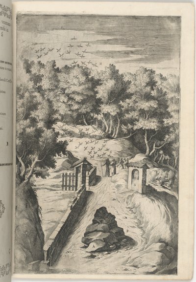 Fuglenes hilsen [plate C] av Lino Moroni