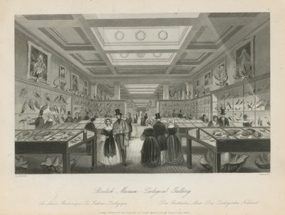 Zoologisk rom på British Museum av Llewellyn Jewitt
