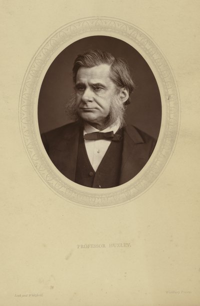 Portrett av Thomas Henry Huxley av Lock and Whitfield