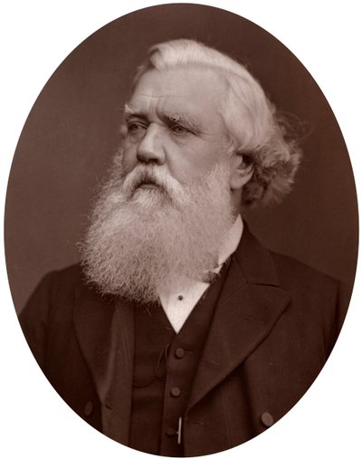 Høyre ære Austen Henry Layard DCL, britisk ambassadør i Konstantinopel, 1877. av Lock and Whitfield