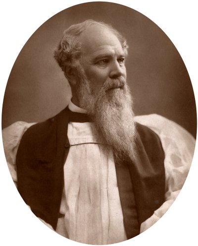 Høyre pastor John Charles Ryle, DD, biskop av Liverpool, 1883. av Lock and Whitfield
