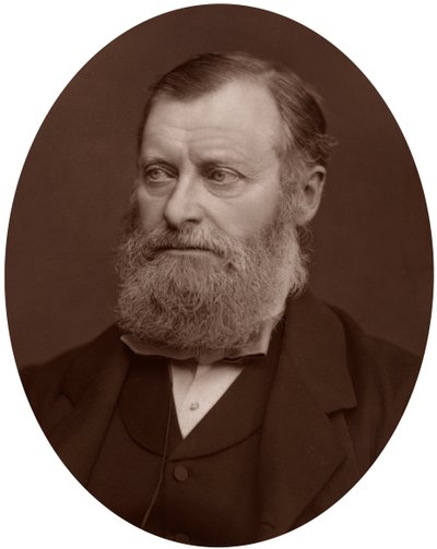 William Edward Forster MP, 1878. av Lock and Whitfield