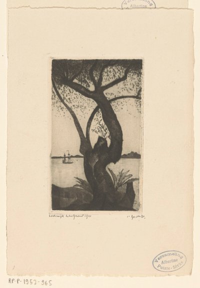 Oliventre på Korsika Olivier, Corse (original tittel) av Lodewijk Schelfhout (signed by artist)