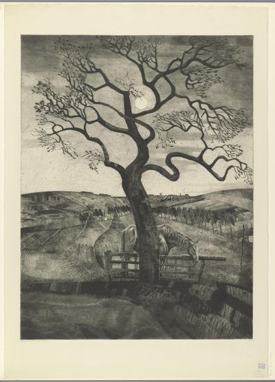 Hest i en eng nær Etikhove Vieux cheval en repos (original tittel) av Lodewijk Schelfhout (signed by artist)