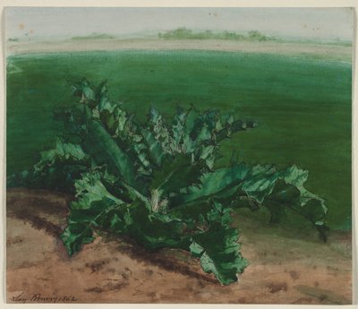 Studie av en plante, muligens tistel av Léon Bonvin