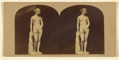  av London Stereoscopic and Photographic Company